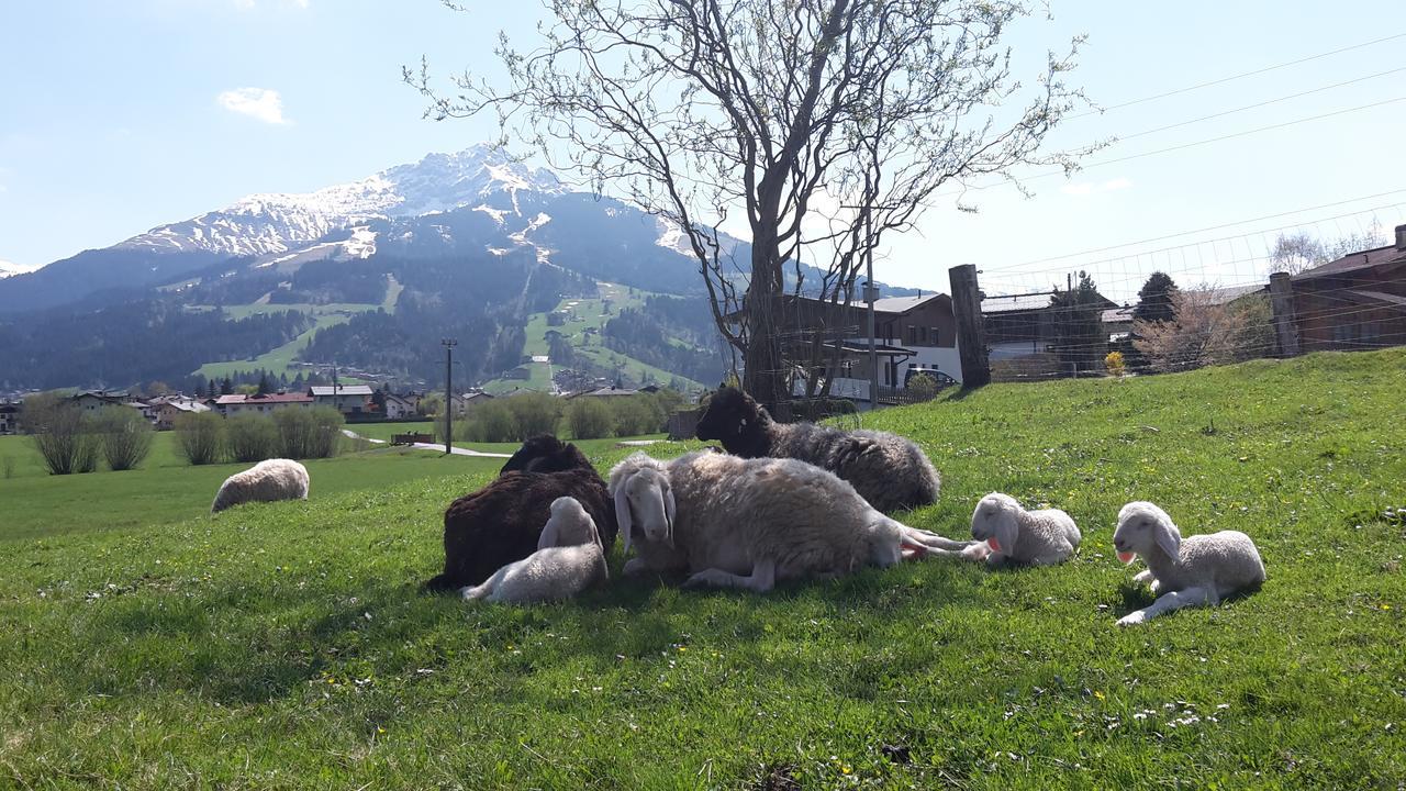 Narzenhof Wellness Chalets, Familien & Luxus Apartments Am Bauernhof St. Johann in Tirol Eksteriør billede
