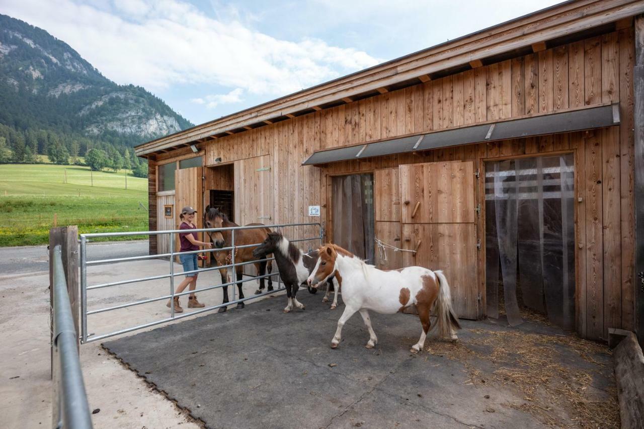 Narzenhof Wellness Chalets, Familien & Luxus Apartments Am Bauernhof St. Johann in Tirol Eksteriør billede